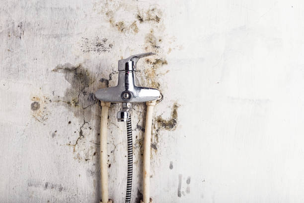  Old Saybrook Center, CT Mold Removal Pros